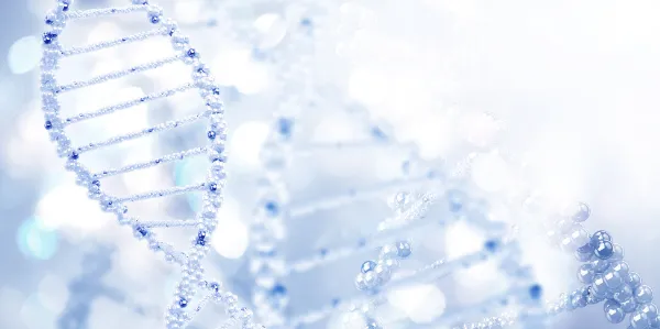 成分のイメージ画像