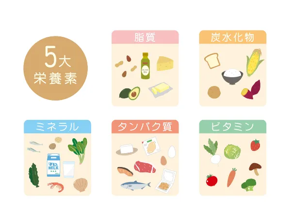 五大栄養素の説明画像