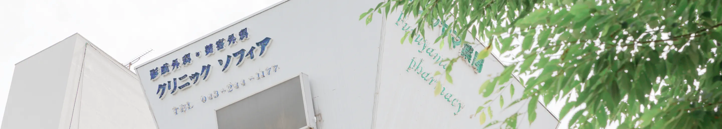 よくあるご質問