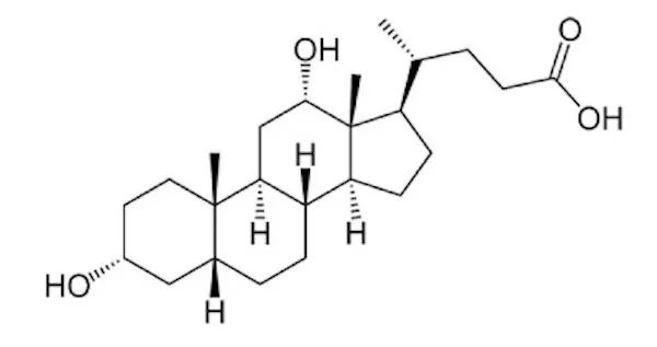チンセラプラスの主成分画像