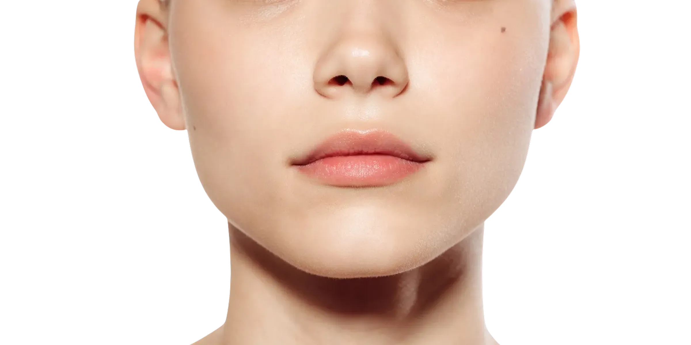 小鼻縮小術（鼻翼縮小）