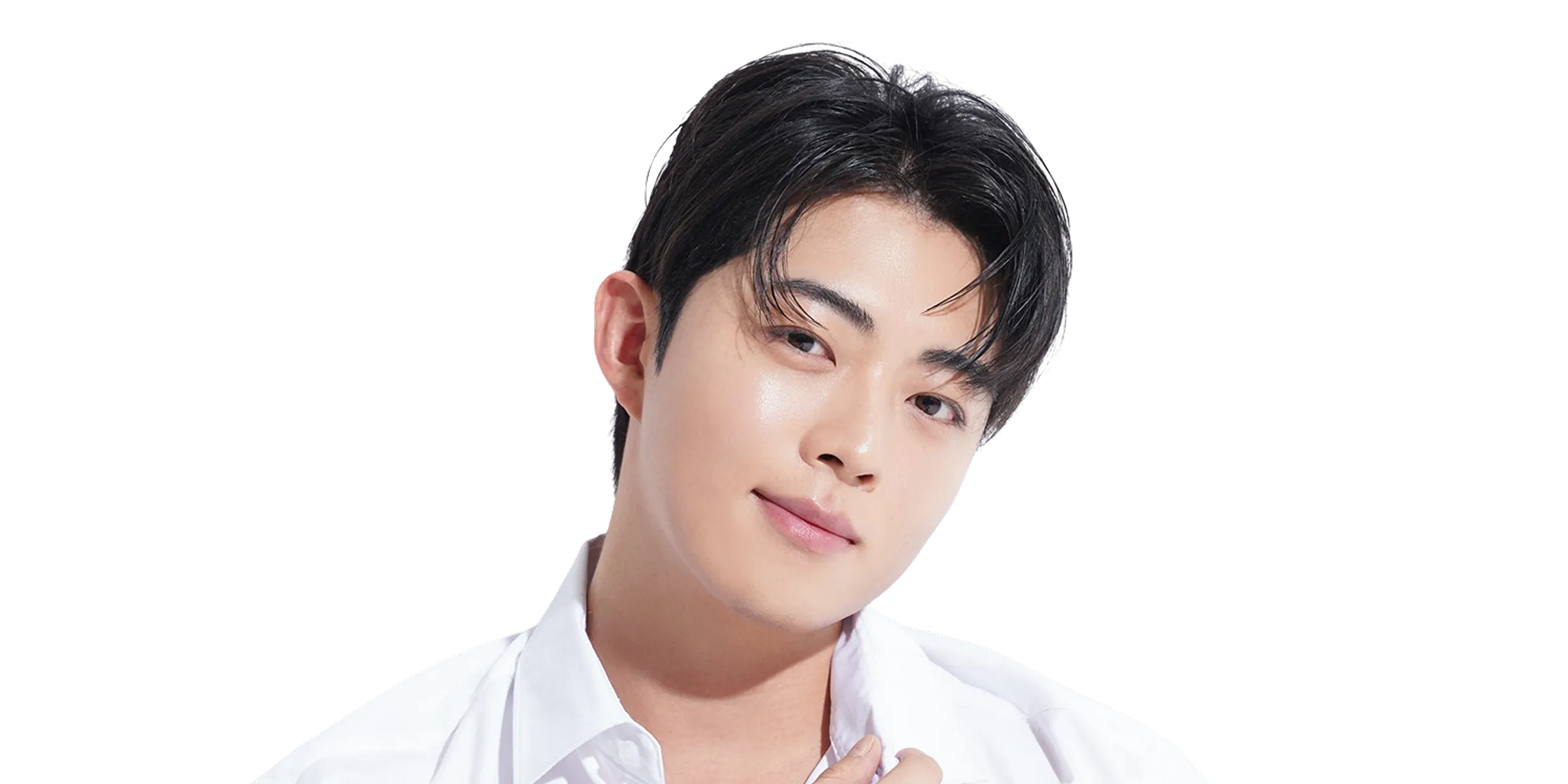 Choi式植毛法（自毛移植術）